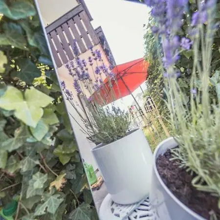 Apartmán Ferienwohnung Flow Am See